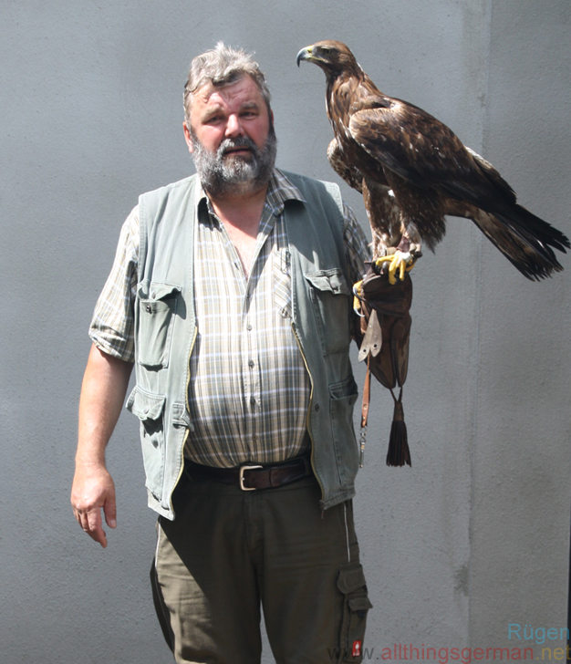 Störtebeker's Falconer - Falker Walter | What's On | AllThingsGerman.net