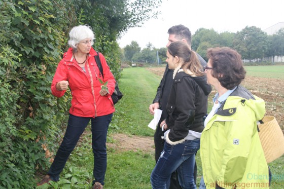 Regina Ebert explained how to pick and eat stinging nettles without hurting yourself